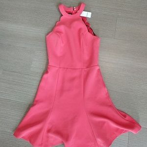 NWT Bebe dress eith scalloped details